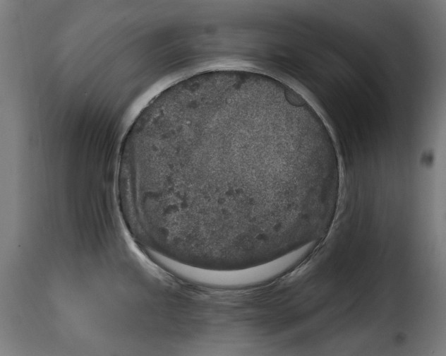 X0000114991245200911231134