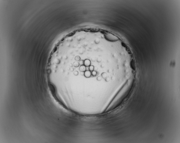 X0000114991247200911231134