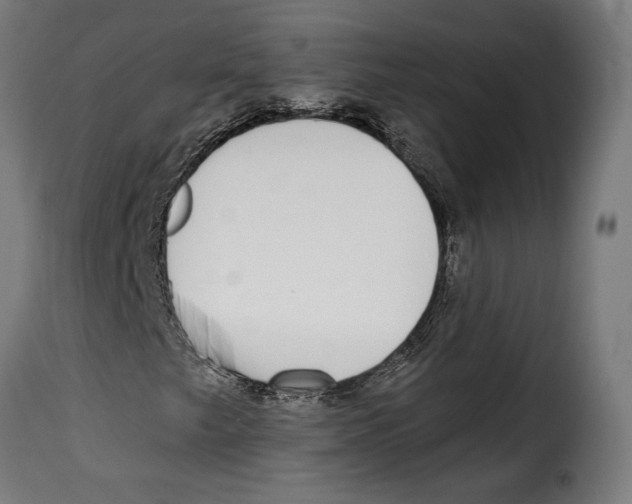 X0000114991249200911231134