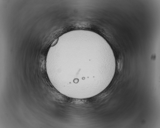 X0000114991251200911231134