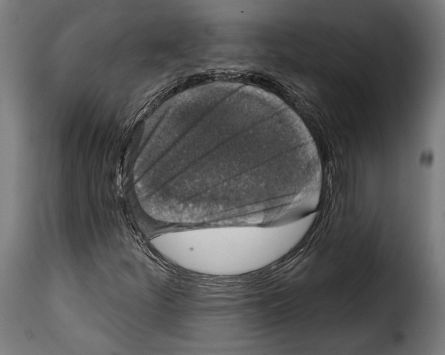 X0000114991252200911231134