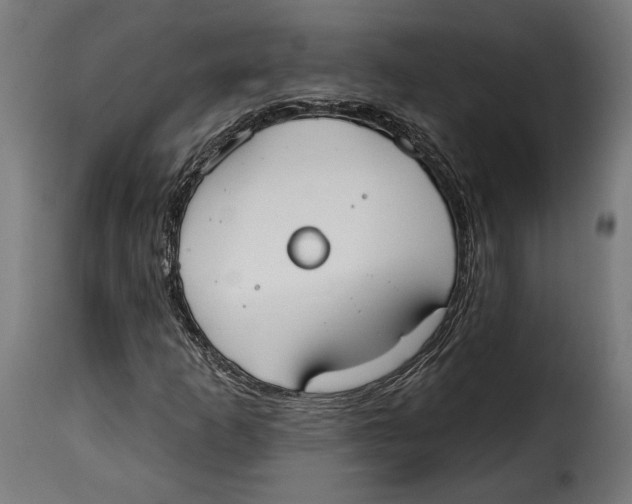 X0000114991253200911231134