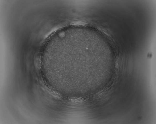 X0000114991254200911231134