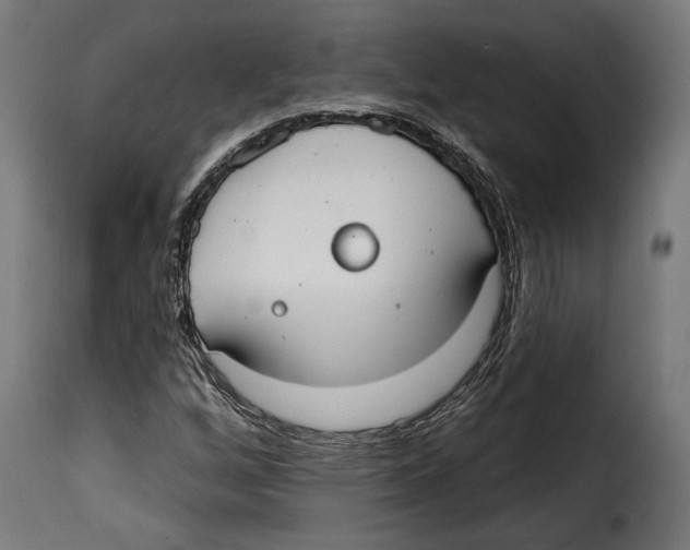 X0000114991256200911231134