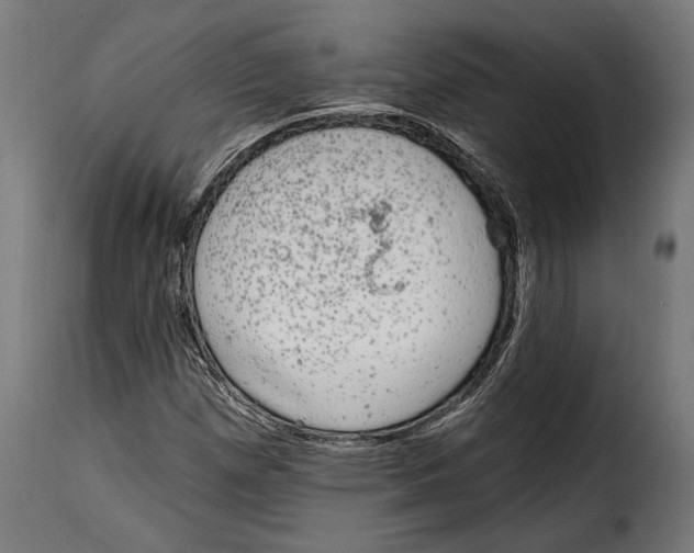 X0000114991257200911231134