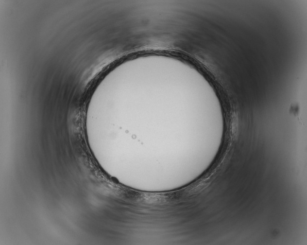 X0000114991258200911231134