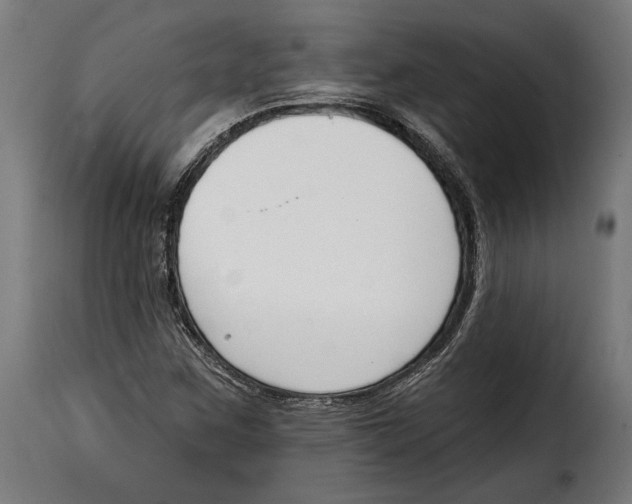 X0000114991259200911231134