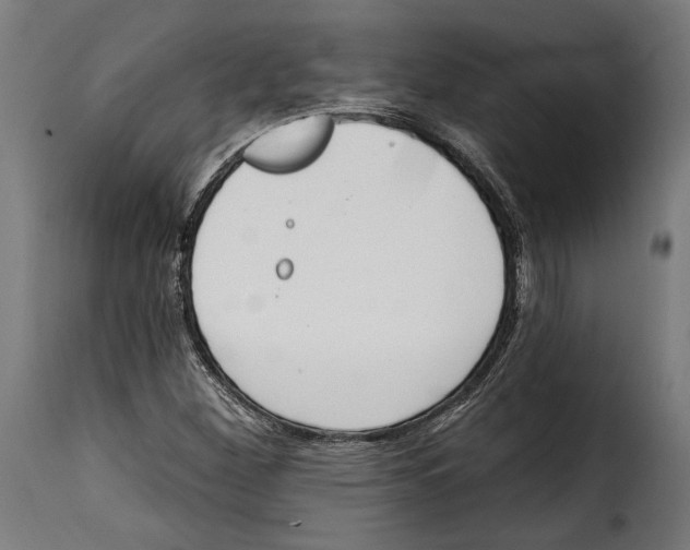 X0000114991260200911231134