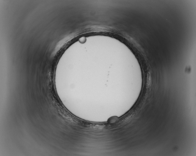 X0000114991261200911231134