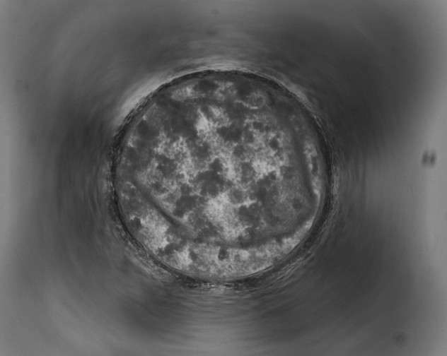 X0000114991263200911231133