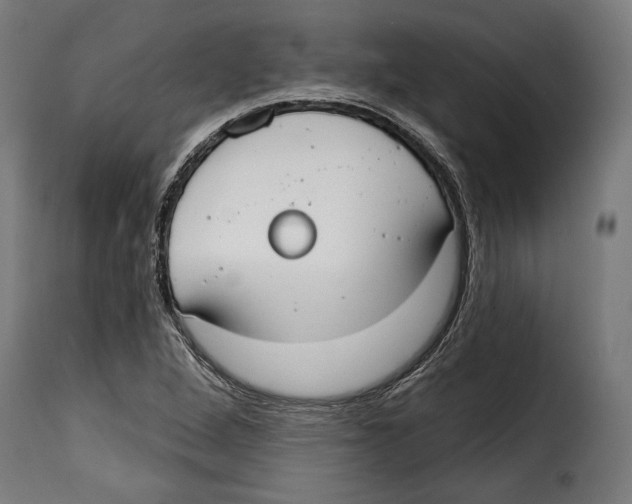 X0000114991264200911231133