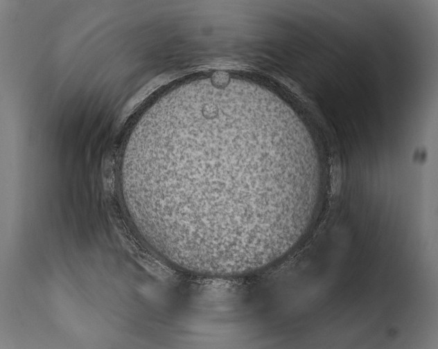 X0000114991266200911231133