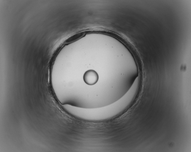 X0000114991269200911231133