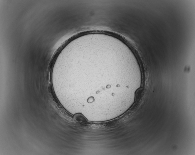 X0000114991271200911231133