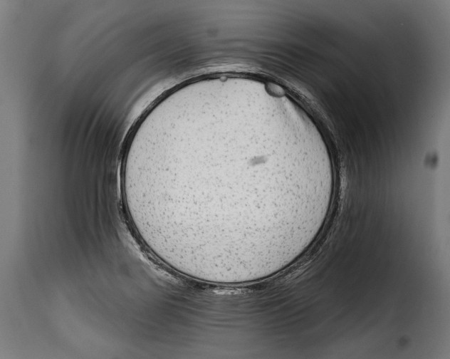 X0000114991274200911231133