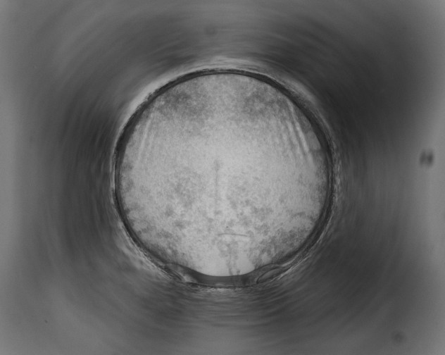 X0000114991280200911231133