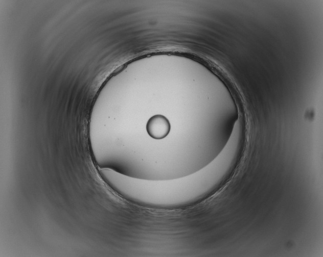 X0000114991281200911231133