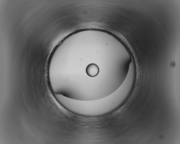 X0000114991285200911231133