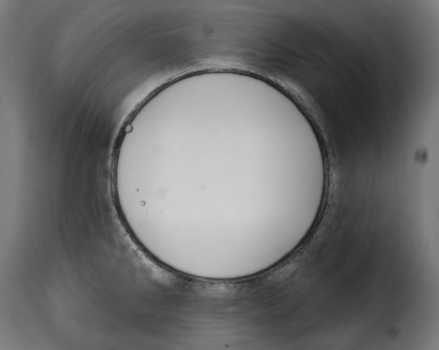 X0000114991286200911231133