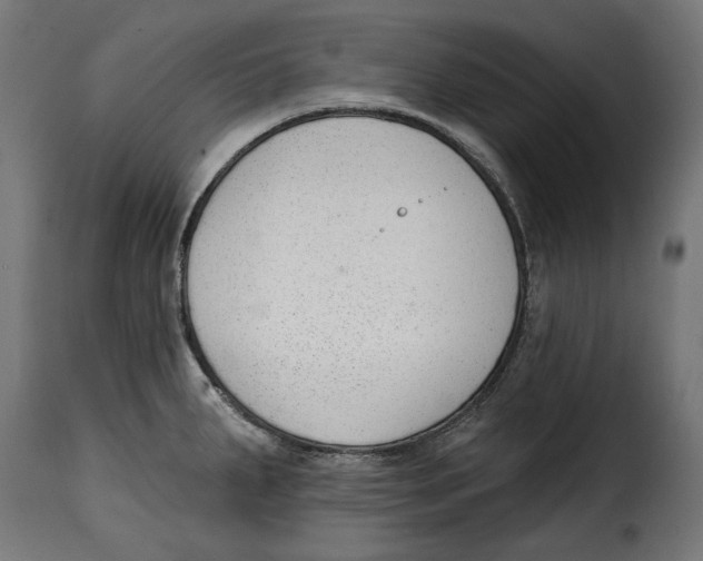 X0000114991287200911231133