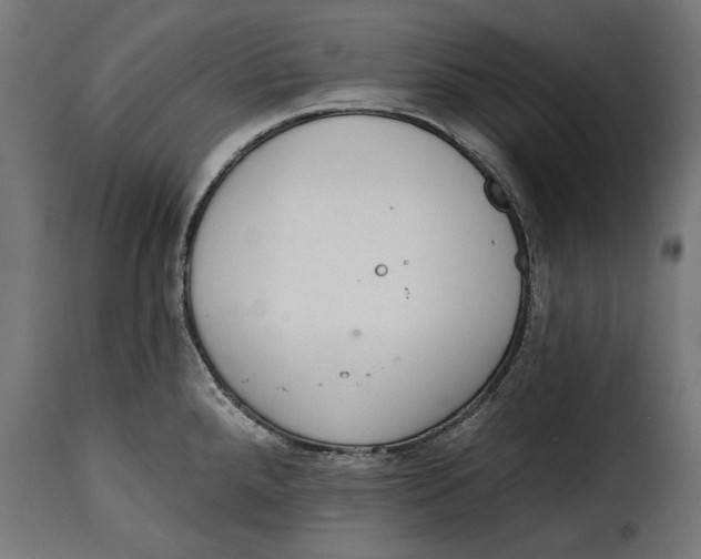 X0000114991288200911231133