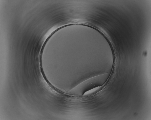 X0000114991291200911231133