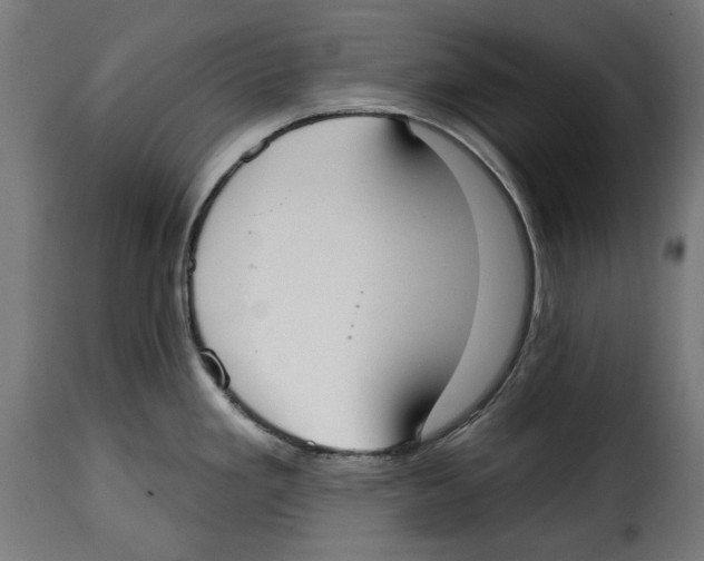 X0000114991293200911231133