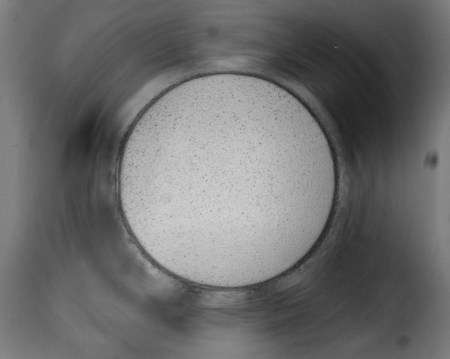 X0000114991294200911231133