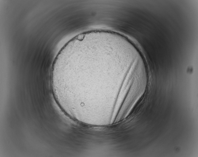 X0000114991295200911231133