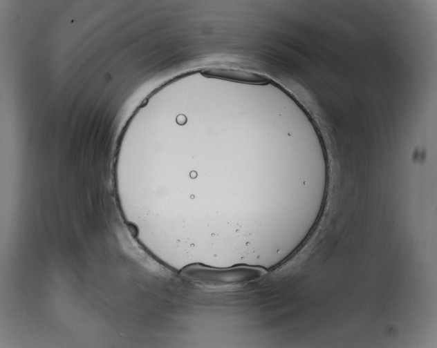 X0000114991296200911231133