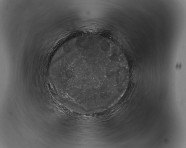 X0000114991297200911231132