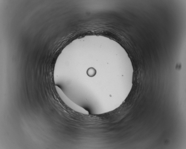 X0000114991298200911231132