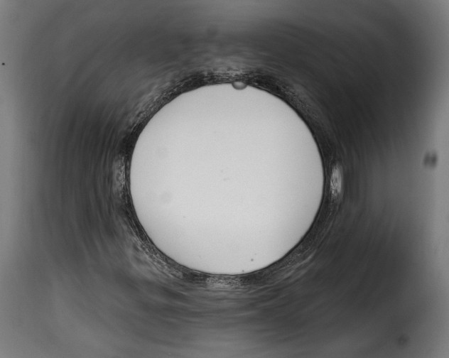 X0000114991299200911231132