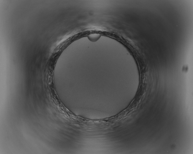 X0000114991303200911231132