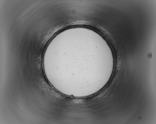 X0000114991313200911231132