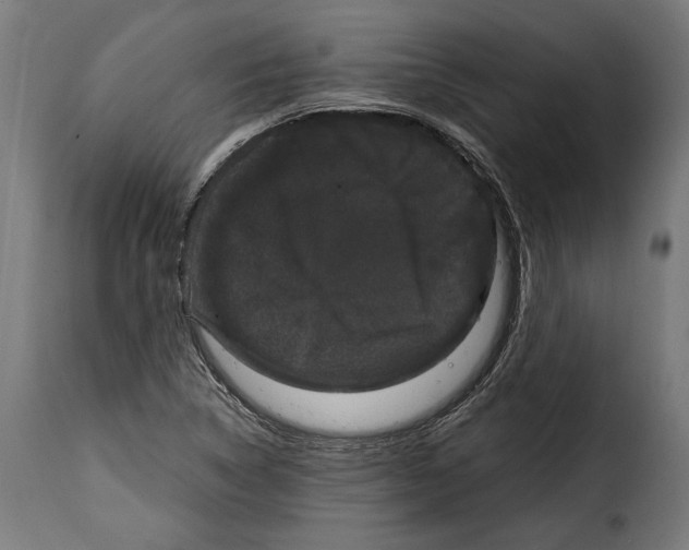 X0000114991314200911231132