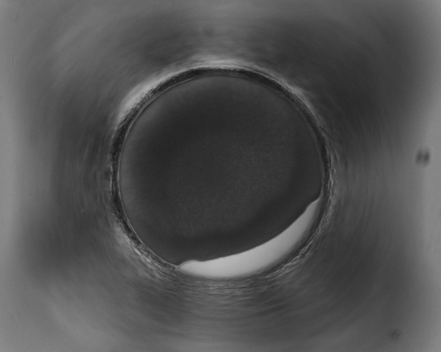 X0000114991319200911231133