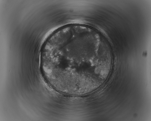 X0000114991323200911231133