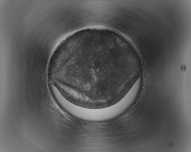 X0000114991327200911231133