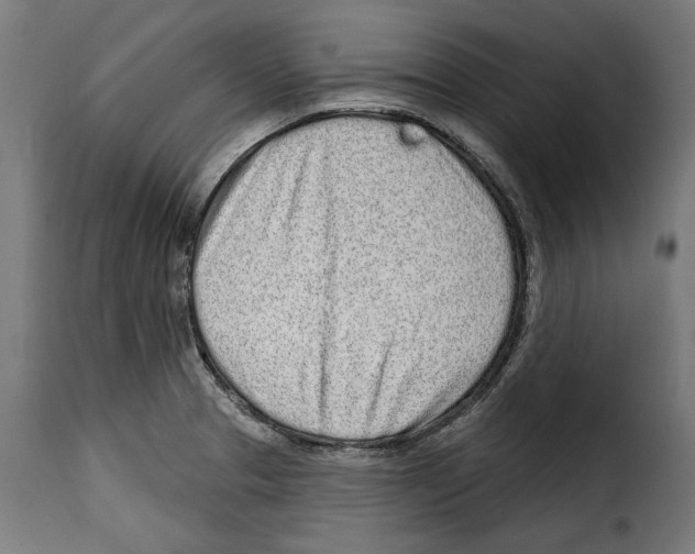 X0000114991329200911231133