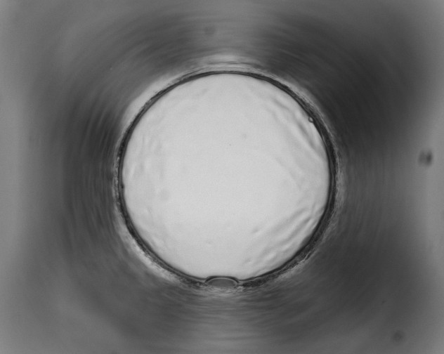 X0000114991333200911231133