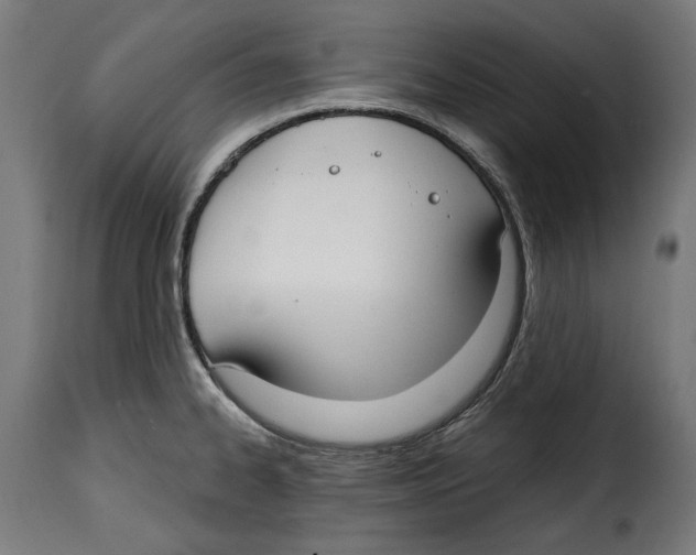 X0000114991334200911231133