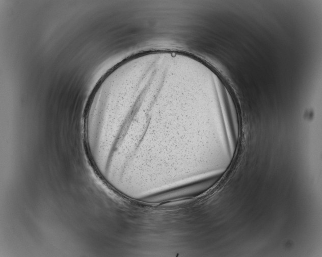 X0000114991335200911231133