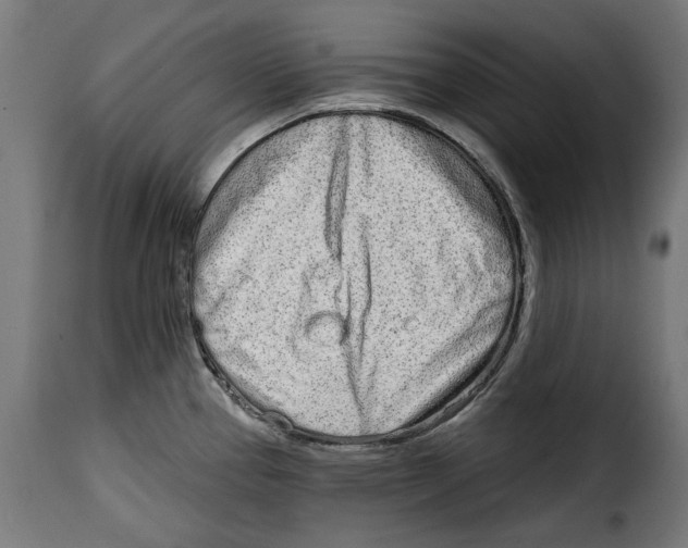 X0000114991337200911231133