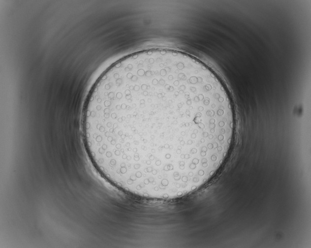 X0000114991339200911231133