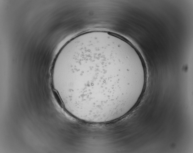 X0000114991341200911231133