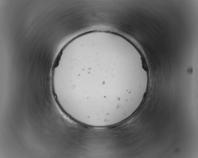 X0000114991343200911231133