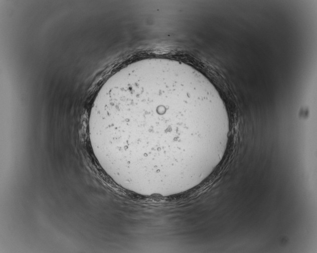 X0000114991349200911231132