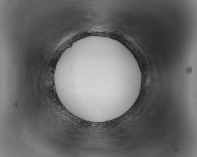 X0000114991350200911231132