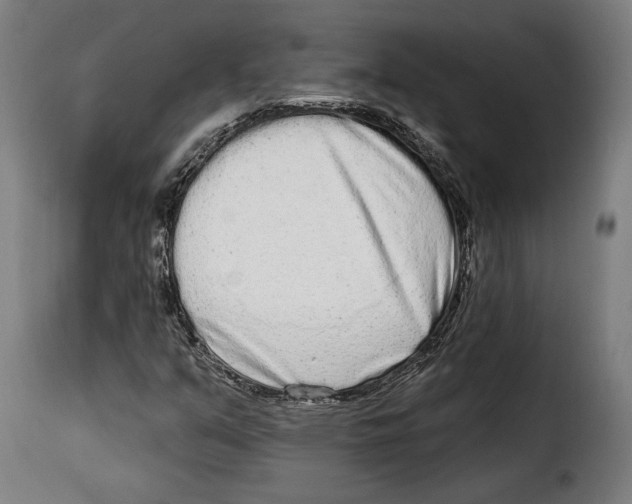 X0000114991351200911231132